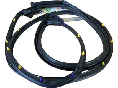 Toyota 67871-02310 Door Weatherstrip