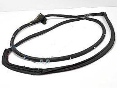 Lexus 67861-60150 Weatherstrip, Front Door, RH