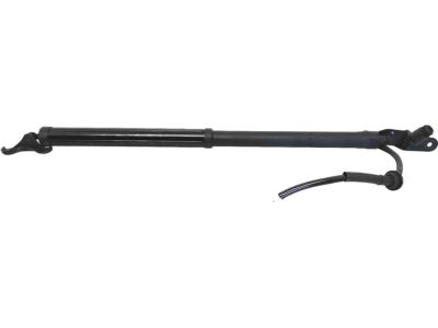 Toyota 68910-0E070 Lift Actuator