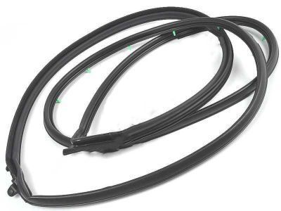 Toyota 67861-33041 Door Weatherstrip