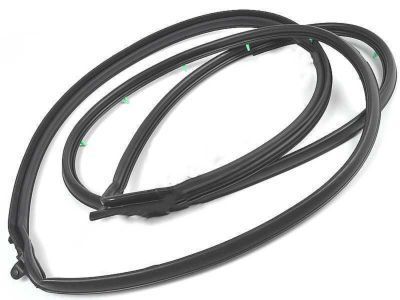 Toyota 67861-33041 Door Weatherstrip