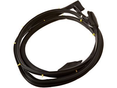 Toyota 67872-35080 Door Weatherstrip