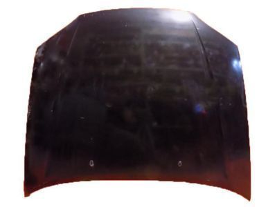 Toyota 53301-16160 Hood