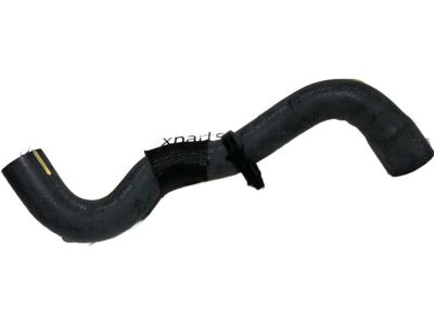 Toyota 16573-F0070 Lower Hose