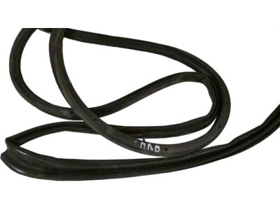 Toyota 67862-52020 Door Weatherstrip