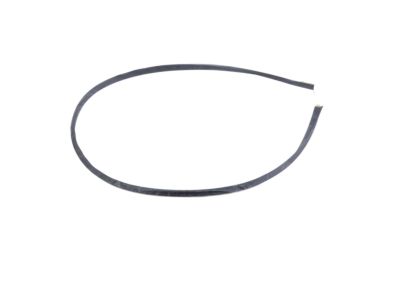 Toyota 75797-10010 Lower Molding Seal