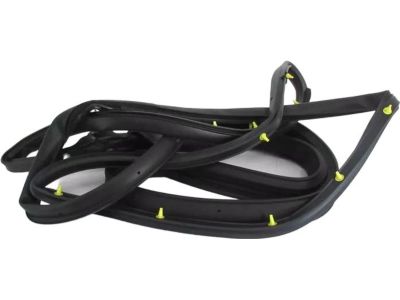Toyota 67862-0E060 Door Weatherstrip