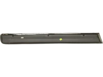 Toyota 75742-0C040-B1 Body Side Molding
