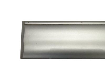 Toyota 75742-0C040-B1 Body Side Molding