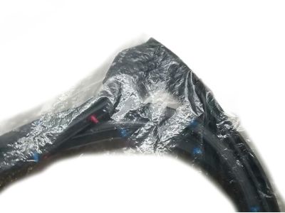 Toyota 67872-10100 Door Weatherstrip