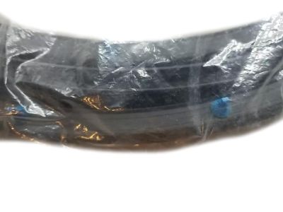 Toyota 67872-10100 Door Weatherstrip