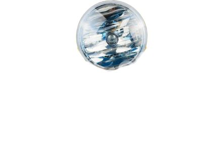 Toyota 81210-0E022 Fog Lamp Assembly