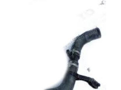 Toyota 16571-F0230 Lower Hose