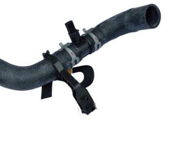 Toyota 16573-F0090 Lower Hose