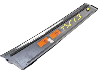 Toyota 75071-F4010 Applique