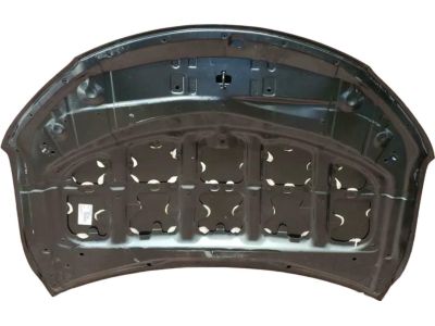 Toyota 53301-06160 Hood