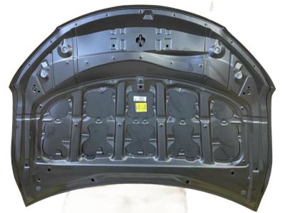 Toyota 53301-06160 Hood