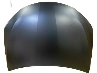 Toyota 53301-06160 Hood