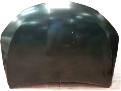 Toyota 53301-06160 Hood