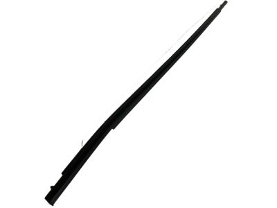 Toyota 75710-12890 Belt Molding