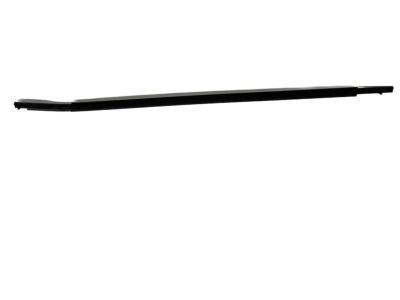 Toyota 75710-12890 Belt Molding