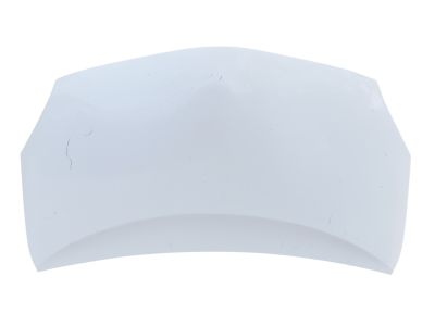 Toyota 53301-47050 Hood