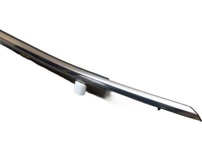 Toyota 75710-0E100 Belt Molding