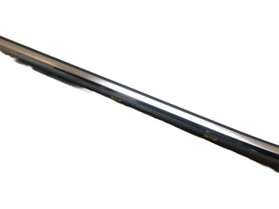 Toyota 75710-0E100 Belt Molding