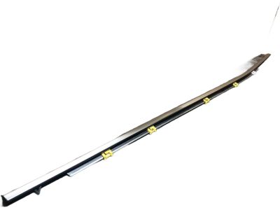 Toyota 75710-0E100 Belt Molding