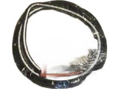 Toyota 67862-52090 Door Weatherstrip