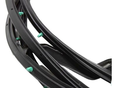 Toyota 67872-08040 Door Weatherstrip