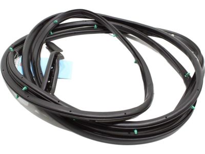 Toyota 67872-08040 Door Weatherstrip