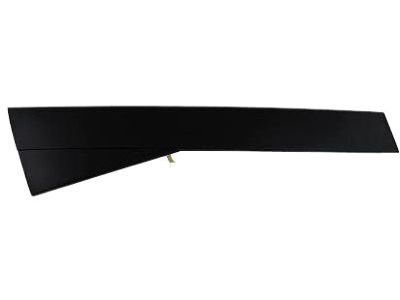 Toyota 75742-AE030-B1 Body Side Molding