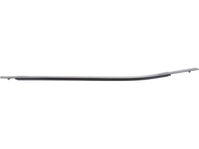 Toyota 75710-06210 Belt Molding