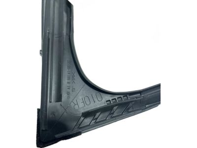 Toyota 68141-06191 Run Weatherstrip