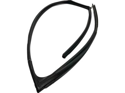 Toyota 68141-06191 Run Weatherstrip