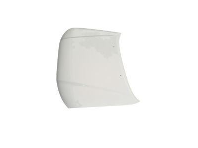 Toyota 53301-04120 Hood