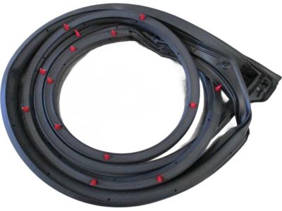 Toyota 67862-12A80 Door Weatherstrip