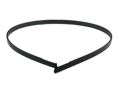 Toyota 75555-12161 Drip Molding