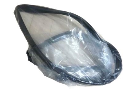 Toyota 68151-89109 Glass Run