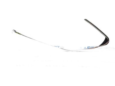 Toyota 75707-06030 Upper Molding