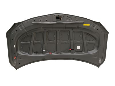 Toyota 53301-02210 Hood