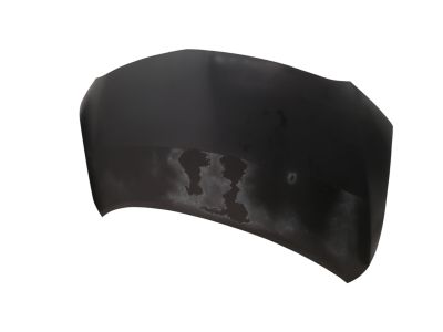 Toyota 53301-02210 Hood