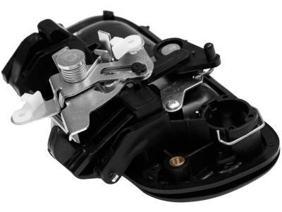 Toyota 69090-0C030-C0 Handle
