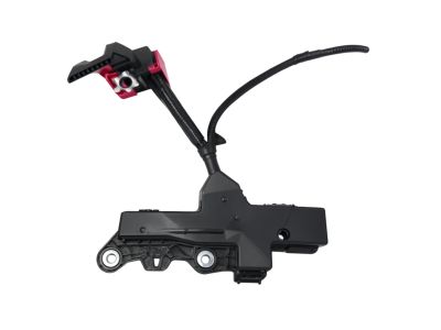 Toyota 82621-42020 Cover Cap