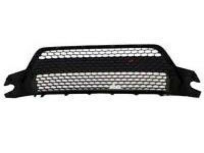 Toyota 53112-52370 Lower Grille