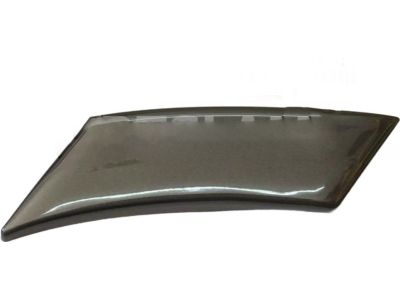 Toyota 75743-60010-H2 Body Side Molding