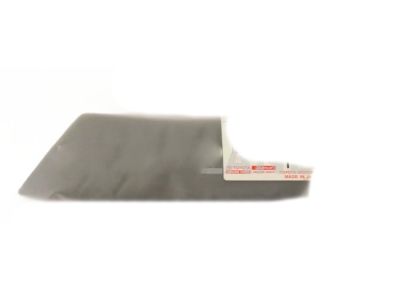 Toyota 75743-60010-H2 Body Side Molding