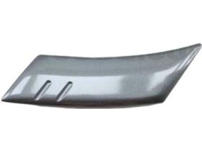 Toyota 75743-60010-H2 Body Side Molding