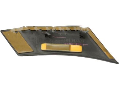 Toyota 75743-60010-H2 Body Side Molding